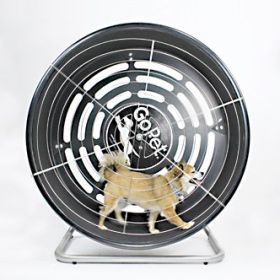 GoPet TreadWheel (Option: For Small Dogs)